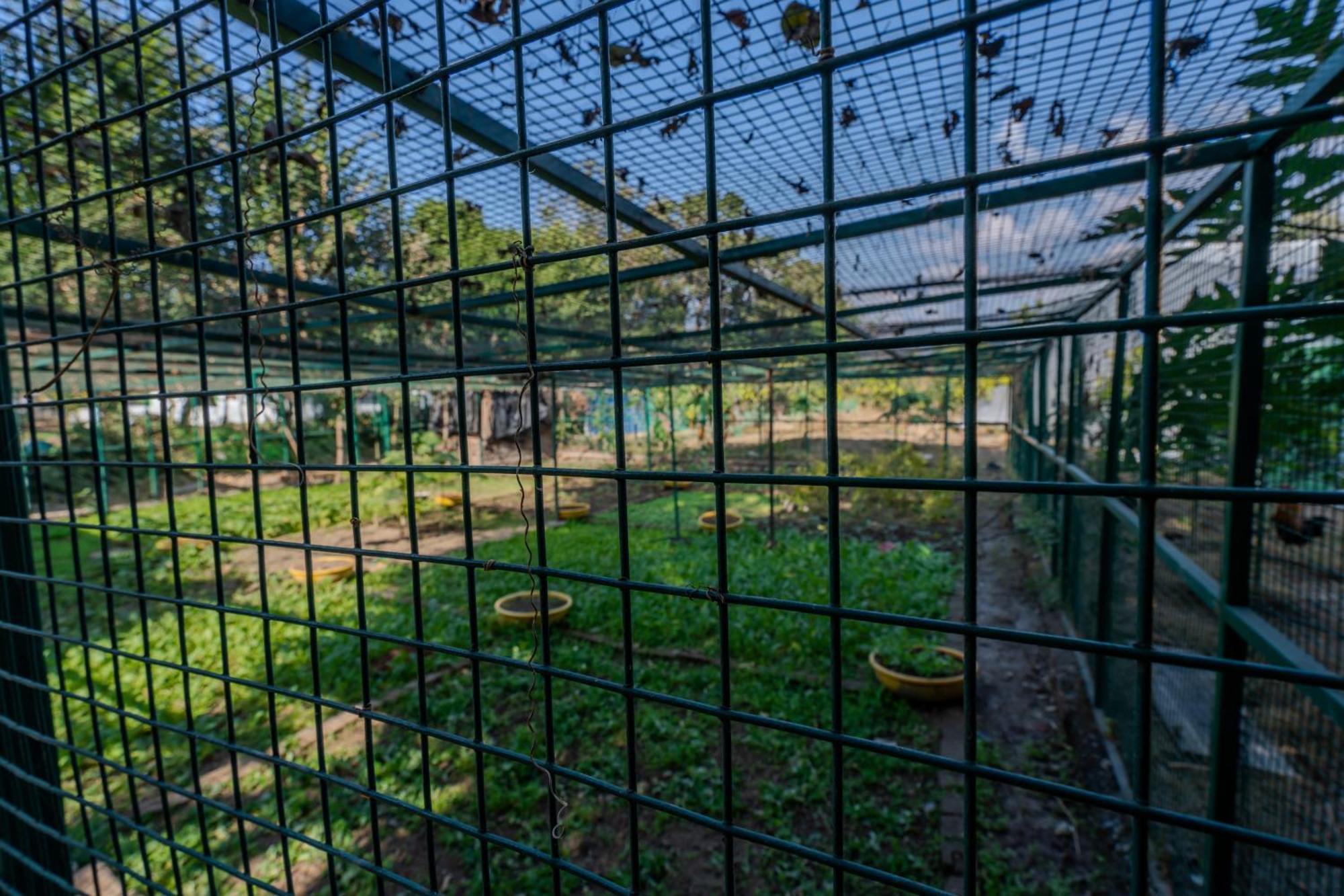 Saffronstays Timber Crest Dehradun Dış mekan fotoğraf